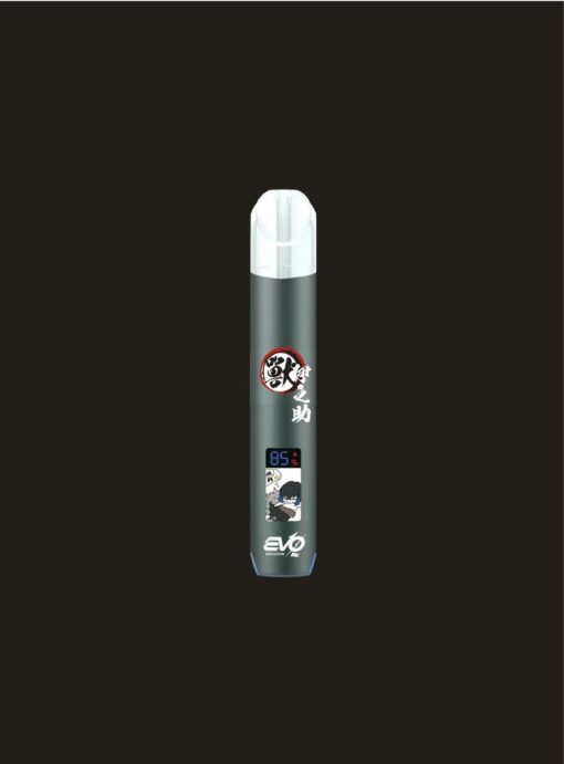 EVO 主機